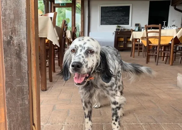 SetterhouseagrihotelAgriturismo